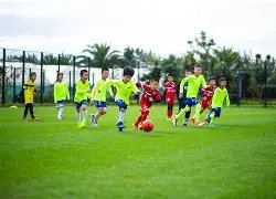 张本智和加,盟丰田,荣登世界,开云体育,开云体育官网,开云体育app,开云体育app下载